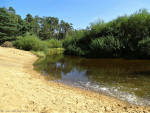 Dinkel in het Lutterzand